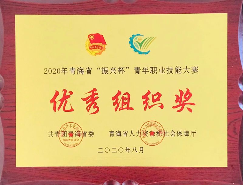 2020年8月青海省&ldquo;振興杯&rdquo;青年職業(yè)技能大賽優(yōu)秀組織獎(jiǎng)