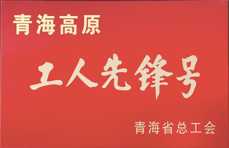 物產工投公司電解二車間被命名青海高原&ldquo;工人先鋒號&rdquo;